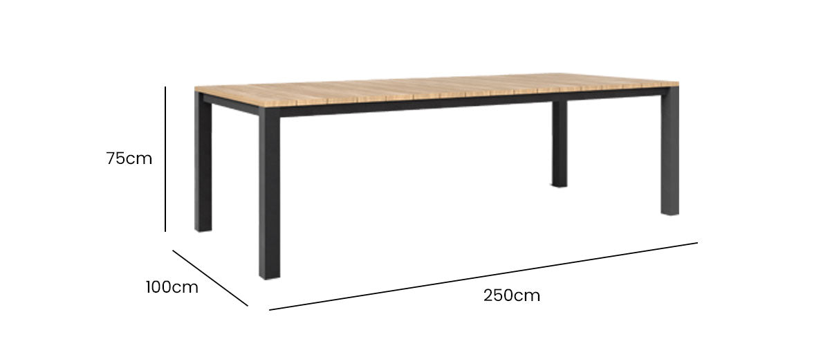 Piav Alu Outdoor Table 250x100