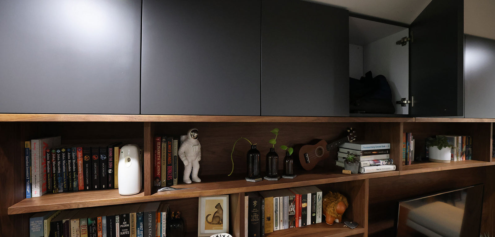 Entertainment & Storage Wall Unit